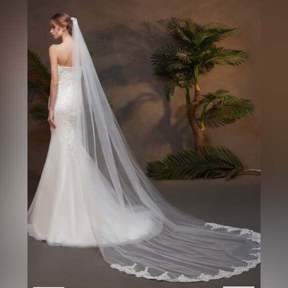 One-tier Lace Applique Edge Cathedral-length Bridal Veil - Picture 4 of 4